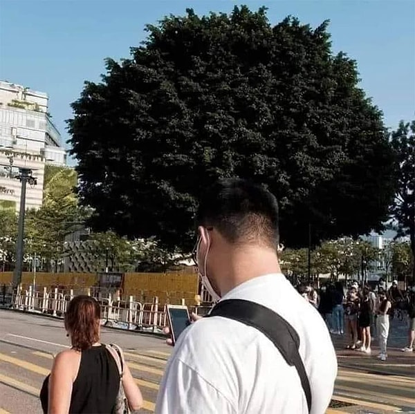 5. Случайный сюрреализм – он такой!