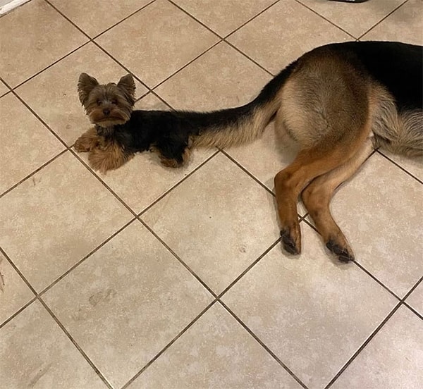 6. Идеальный матч 😍