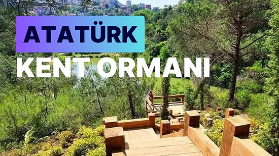 Atatürk Kent Ormanı: İstanbul'un Saklı Cenneti ve Kentin Nefes Alma Alanı