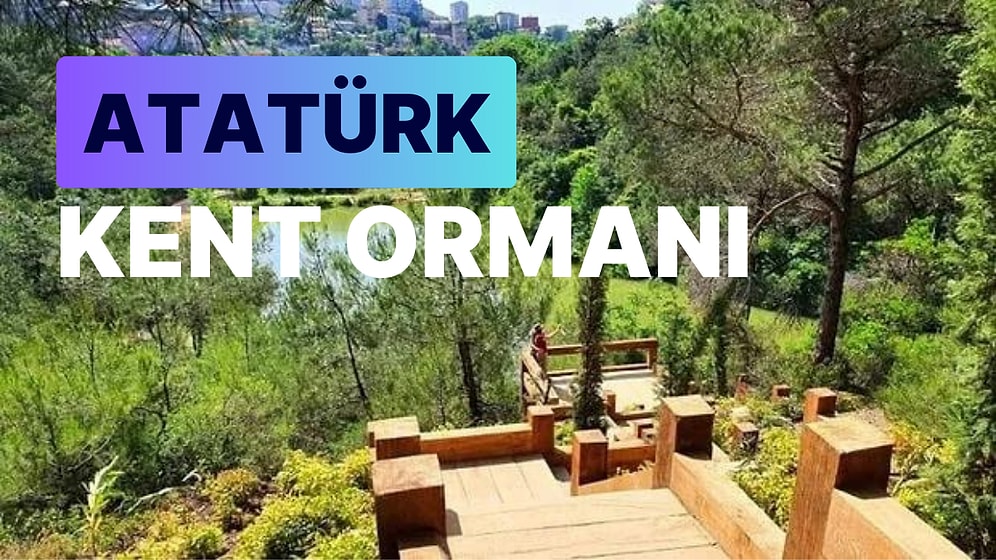Atatürk Kent Ormanı: İstanbul'un Saklı Cenneti ve Kentin Nefes Alma Alanı