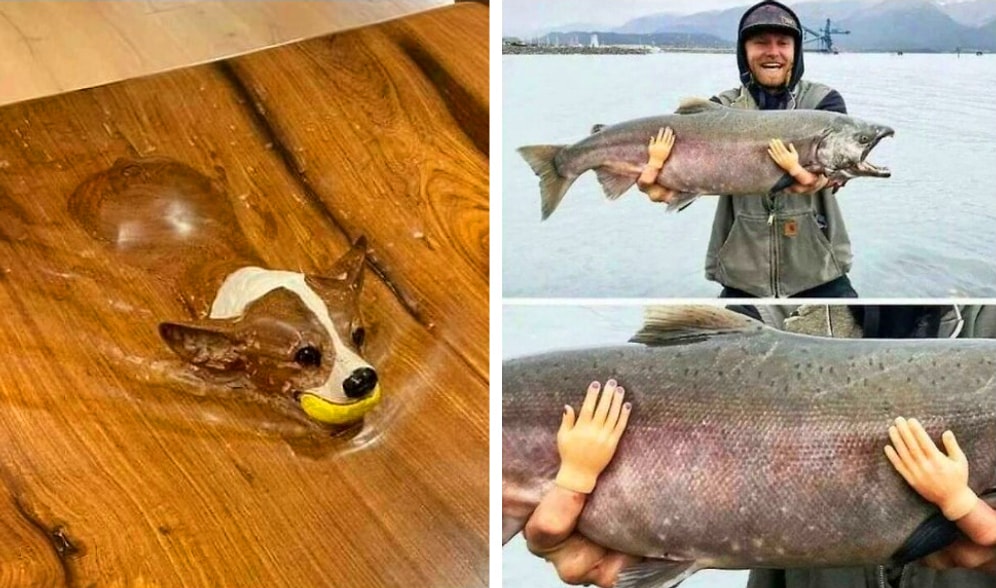 52 раза, когда люди увидели что-то и сказали «Хммм», а потом пошли выкладывать это в Сеть