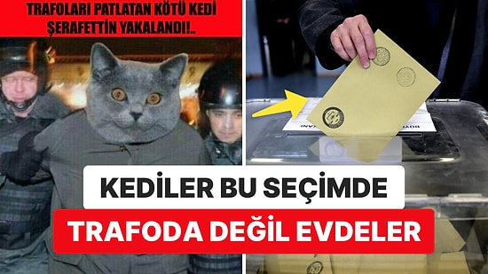 14 Mayıs'ta Kediler Trafoda Değil Evde: İBB Başkanı Ekrem İmamoğlu Sandık Güvenliği Çağrısını Yineledi!