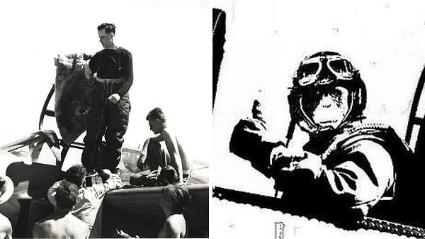 10. ABD Hava Kuvvetleri'nin savaş jetini kullanan ilk pilot olan Jack Woolams diğer pilotlarla dalga geçmek için goril kostümü giymişti.