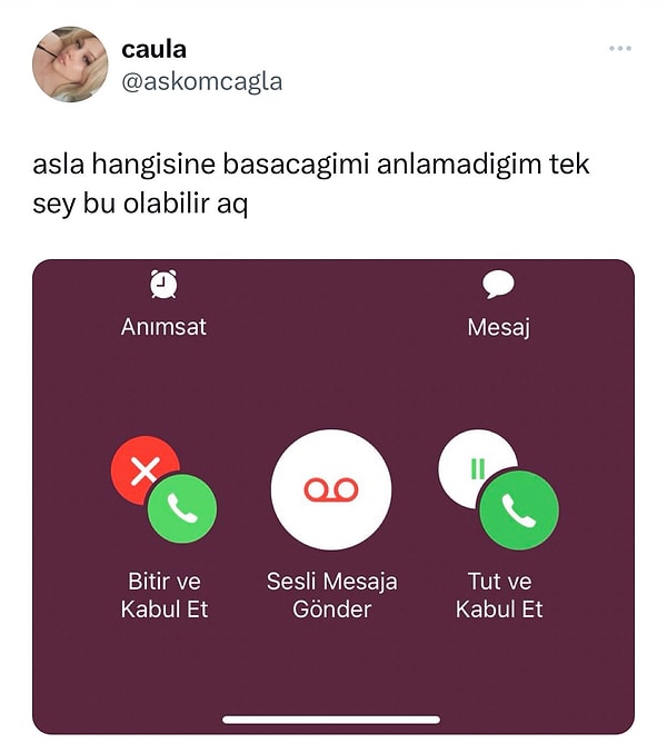 Tıpkı bu şekil...