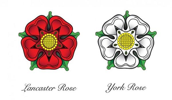 Bu isim, York Hanedanı'nın sembolü olan beyaz gül ve Lancaster Hanedanı'nın sembolü olan kırmızı gülün savaşın taraflarını temsil etmesinden kaynaklanmaktadır.