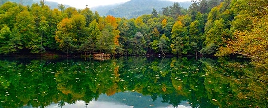 Bolu Yedigöller National Park: Where Nature and Adventure Meet