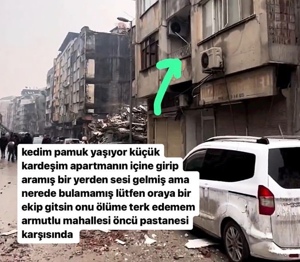 Depremden bu yana geçen 76 günlük bu uzun sürecin ardından kendisi mucize gibi bir olay yaşandı, kedi Pamuk evin yakınlarında bulundu!