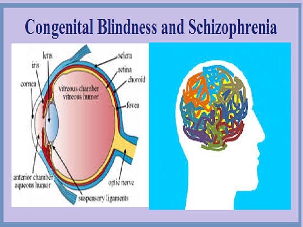 Altta yatan mekanizma tam olarak bilinmese de konjenital veya erken körlüğün şizofreniye karşı koruyucu bir etki sağlayabileceği bilişsel ve nöroplastisite mekanizmaları irdelenmiş.