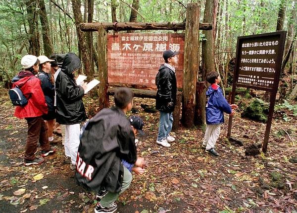 Aokigahara'yı ziyaret eden birçok turist, açıklanamayan sesler, hayaletler ve paranormal olaylar gibi ürkütücü deneyimler yaşadıklarını iddia ediyor.