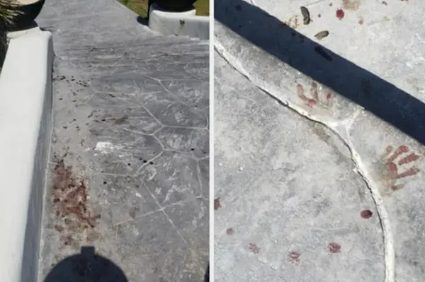 6. «Увидел это на асфальте на отдыхе»