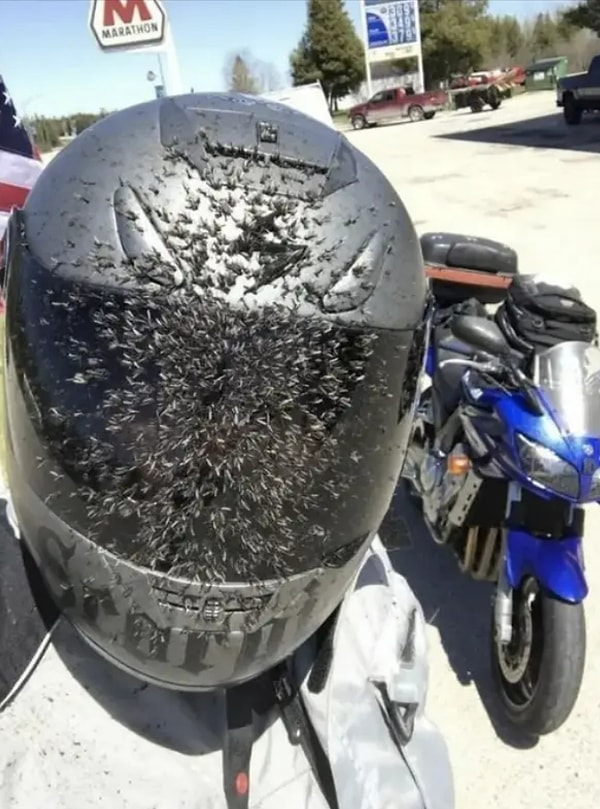 13. Еще одна причина, чтобы надевать шлем