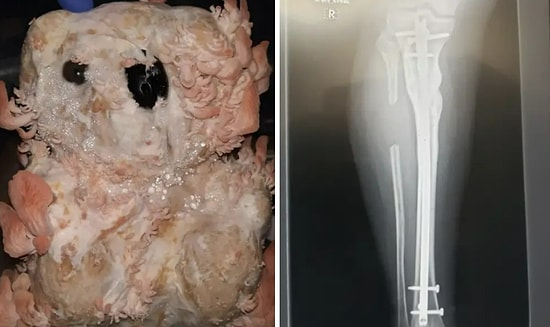 20 пугающих, отвратительных и просто тревожных фото, которые оставят мозг в шоке