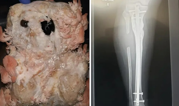 20 пугающих, отвратительных и просто тревожных фото, которые оставят мозг в шоке