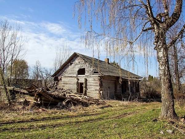 13. Они убирают сорняки, поливают растения и готовятся к сбору урожая.