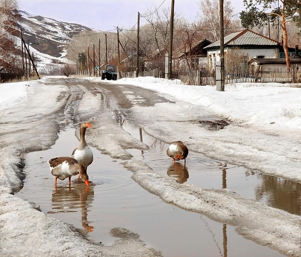 15. Весна в русской деревне также известна своими обычаями и традициями.
