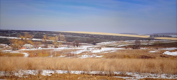 19. Луга и поля покрываются яркой зеленью, а деревья и кустарники начинают распускать свои яркие цветы.