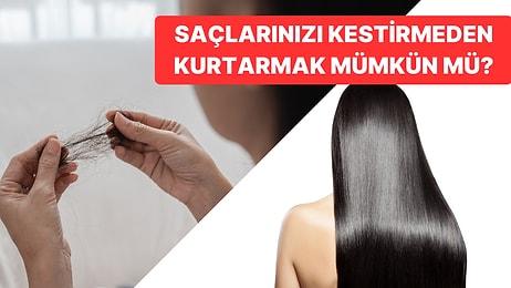 Saçlarınızın Kırıklarını Aldırmak Zorunda Kalmayın! Denemeniz Gereken En İyi Argan Yağlı Şampuan Önerileri