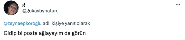 Kimileri ise bu tweet'ten sonra göz yaşlarına boğuldu 😂