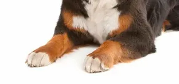 5. Задача усложняется...