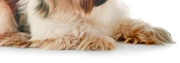 7. Осталось немного...