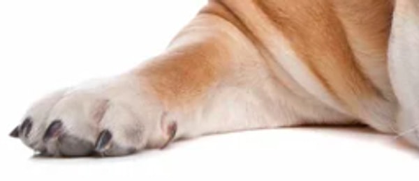 9. Предпоследний вопрос: