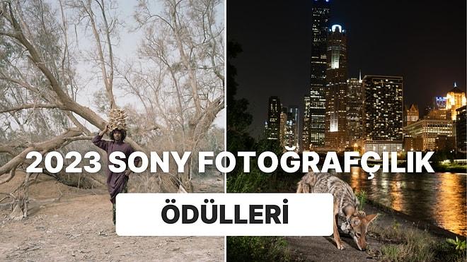 Fotoğraf Tutkunlarına Müjde! 2023 Sony Fotoğrafçılık Ödülleri'nde Kazananlar Belli Oldu