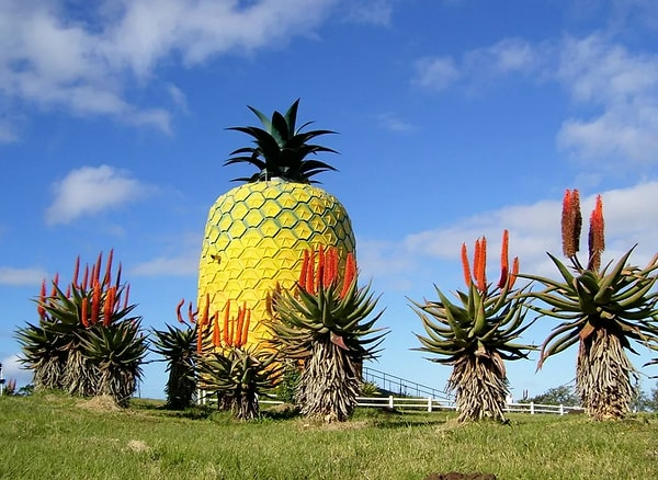 А что насчет ананаса у чужой двери?