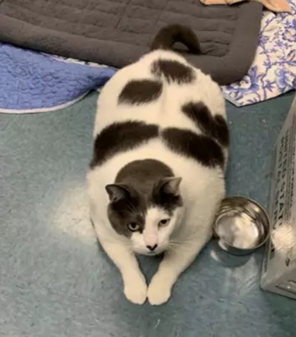 Пост вскоре стал вирусным, набрав почти 3500 лайков, 1700 комментариев и 1800 репостов