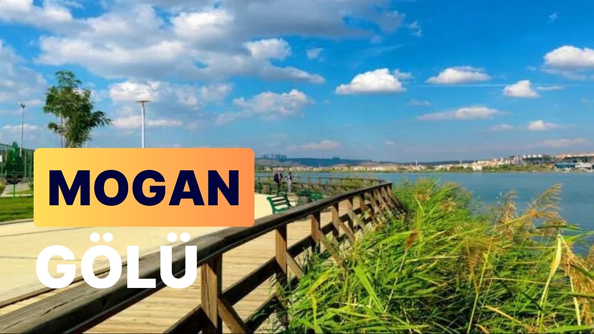 Mogan Gölü: Florası ve Faunası ile Türkiye'nin En Önemli Doğal Yaşam Alanlarından Biri - Onedio