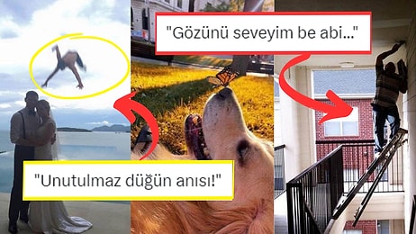 Fotoğraf Çekmek İsterken Yanlışlıkla Rönesans Tablosu Yaratan Kişilerden Muazzam Kareler