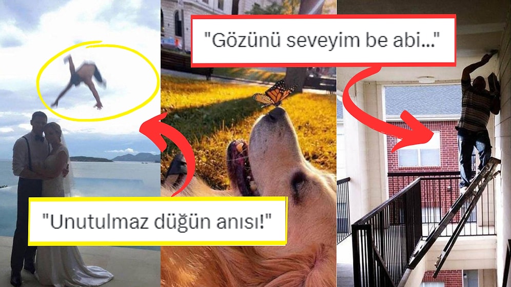 Fotoğraf Çekmek İsterken Yanlışlıkla Rönesans Tablosu Yaratan Kişilerden Muazzam Kareler