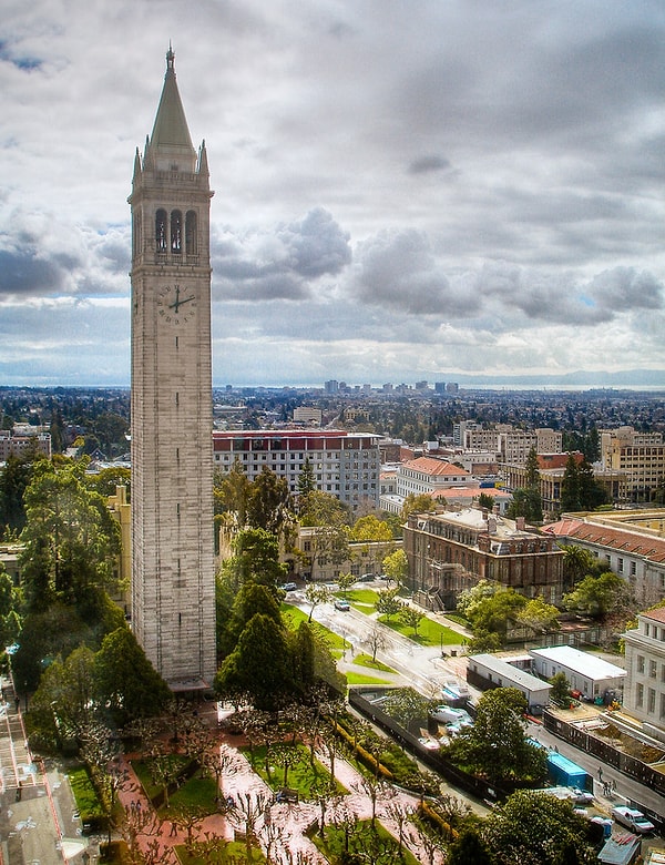 Yüksek eğitim için ABD'ye giden Ulsoy; Swarthmore College'dan Mühendislik alanında lisans, Cornell Üniversitesi'nde Makine Mühendisliği'nden yüksek lisans, Berkeley Üniversitesi'nden ise doktora derecesi alır.