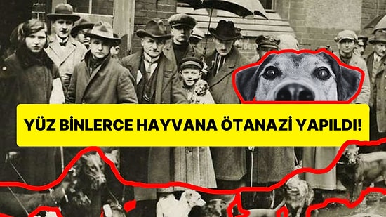 İkinci Dünya Savaşı'nda İngiltere'de Yapılan Acımasız Hayvan Katliamı Sizi Şoka Uğratacak!