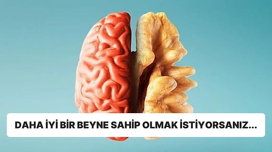 Bilim İnsanları Haftada 3 Gün Ceviz Tüketmenin Genç Yaştaki İnsan Beynine Olan Faydalarını Açıkladı