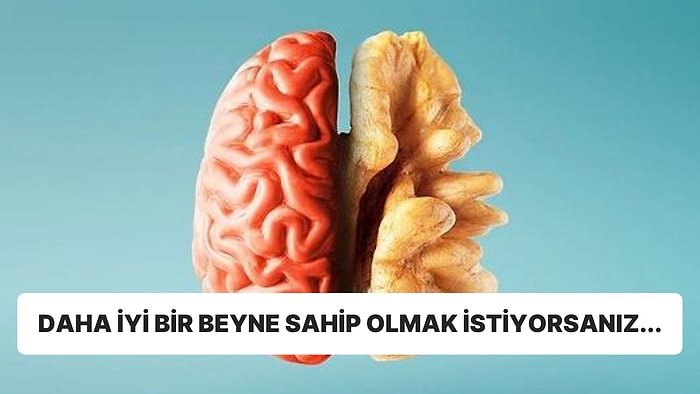 Bilim İnsanları Haftada 3 Gün Ceviz Tüketmenin Genç Yaştaki İnsan Beynine Olan Faydalarını Açıkladı