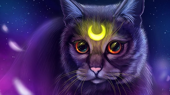 Кошачья астрология — черты усатых любимцев в соответствии с их знаком зодиака