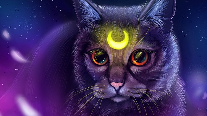 Кошачья астрология — черты усатых любимцев в соответствии с их знаком зодиака