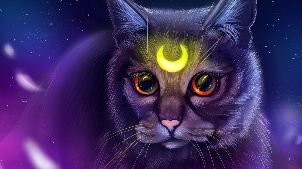 Кошачья астрология — черты усатых любимцев в соответствии с их знаком зодиака