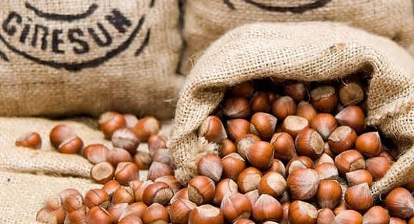 Giresun Hazelnut