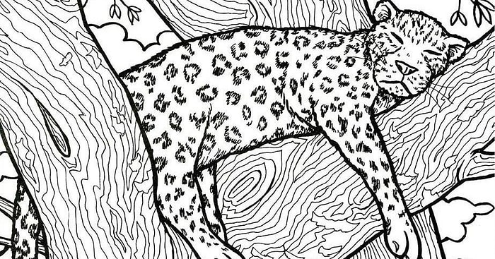 Японский тест на деменцию: сможете найти птицу, рыбу, ложку и ботинок?