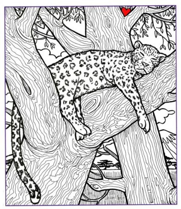 Итак, вам нужно найти птицу, рыбу, ложку и ботинок. У вас есть сколько угодно времени. Сделать это будет не так просто