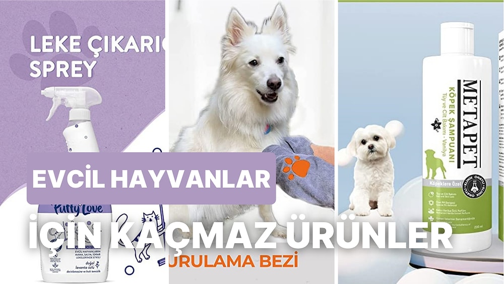 Evcil Hayvanlarınızın Tuvaletle İlgili Tüm Sorunlarına Çare Olabilecek 18 Ürün