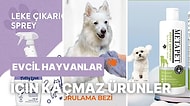 Evcil Hayvanlarınızın Tuvaletle İlgili Tüm Sorunlarına Çare Olabilecek 18 Ürün