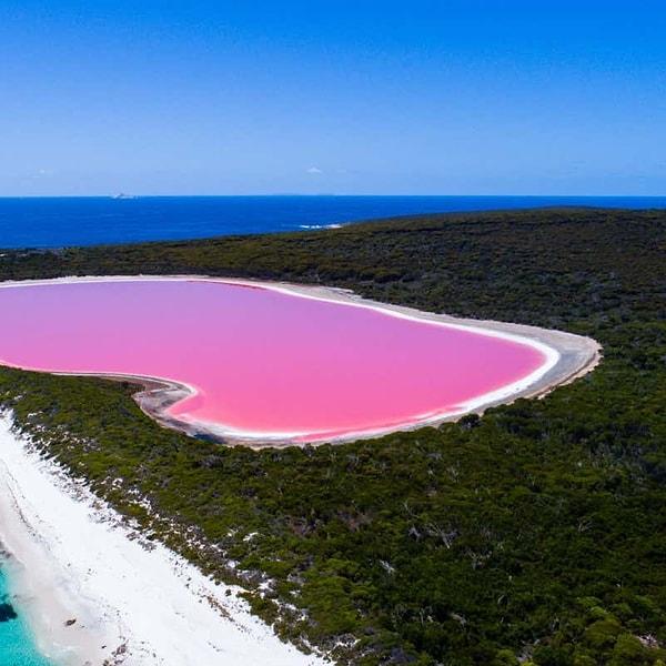 14. Avusturalya'da pembe ve mor renklerde göllere rastlayabilirsiniz! Mesela aşağıda gördüğünüz görsel Hillier Gölü'nden.