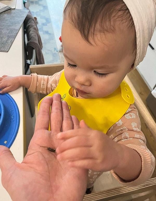 Yemek yazarı Tiffany Leigh, Insider için yazdığı yeni bir makalede, 18 aylık bebeğini cırcır böceği ile beslediğinden bahsetti.