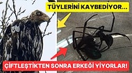 Doğanın Korkutucu Yüzünü İliklerinize Kadar Hissetmenize Sebep Olacak Birbirinden Ürkütücü 15 Yeni Fotoğraf