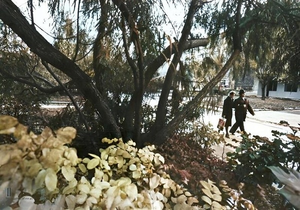 7. Улица Крупской, напротив мединститута (1970 год).