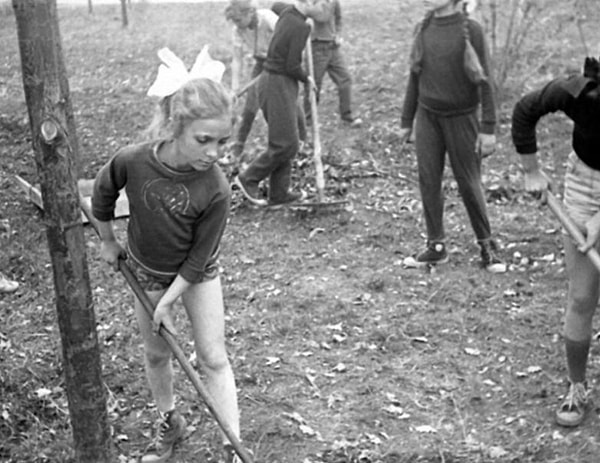 13. В 1966 году в СССР была установлена награда «За добросовестный труд на субботнике», которую получали активные участники этой формы организации труда.