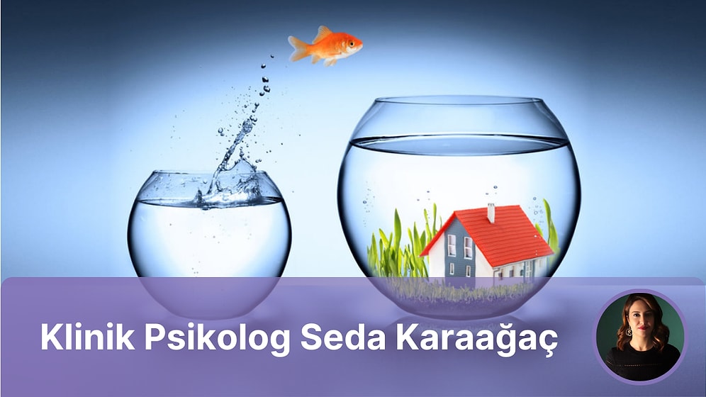 Çöl mü, Çiçek Bahçesi mi?