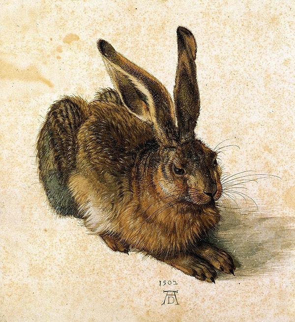 Dürer, dikkatli gözlem ve gerçekçilikle dikkat çeken, doğa ve insan figürlerine yönelik büyük ilgi duyan bir sanatçıydı.